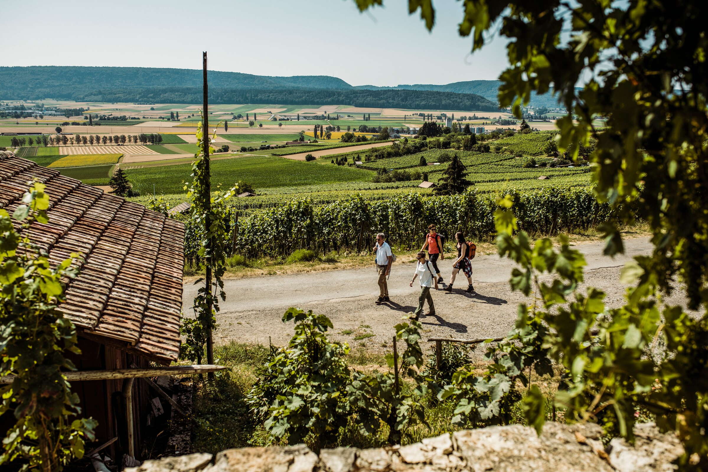 Wander Routen in Schaffhausen Wanderungen über Stock und Stein