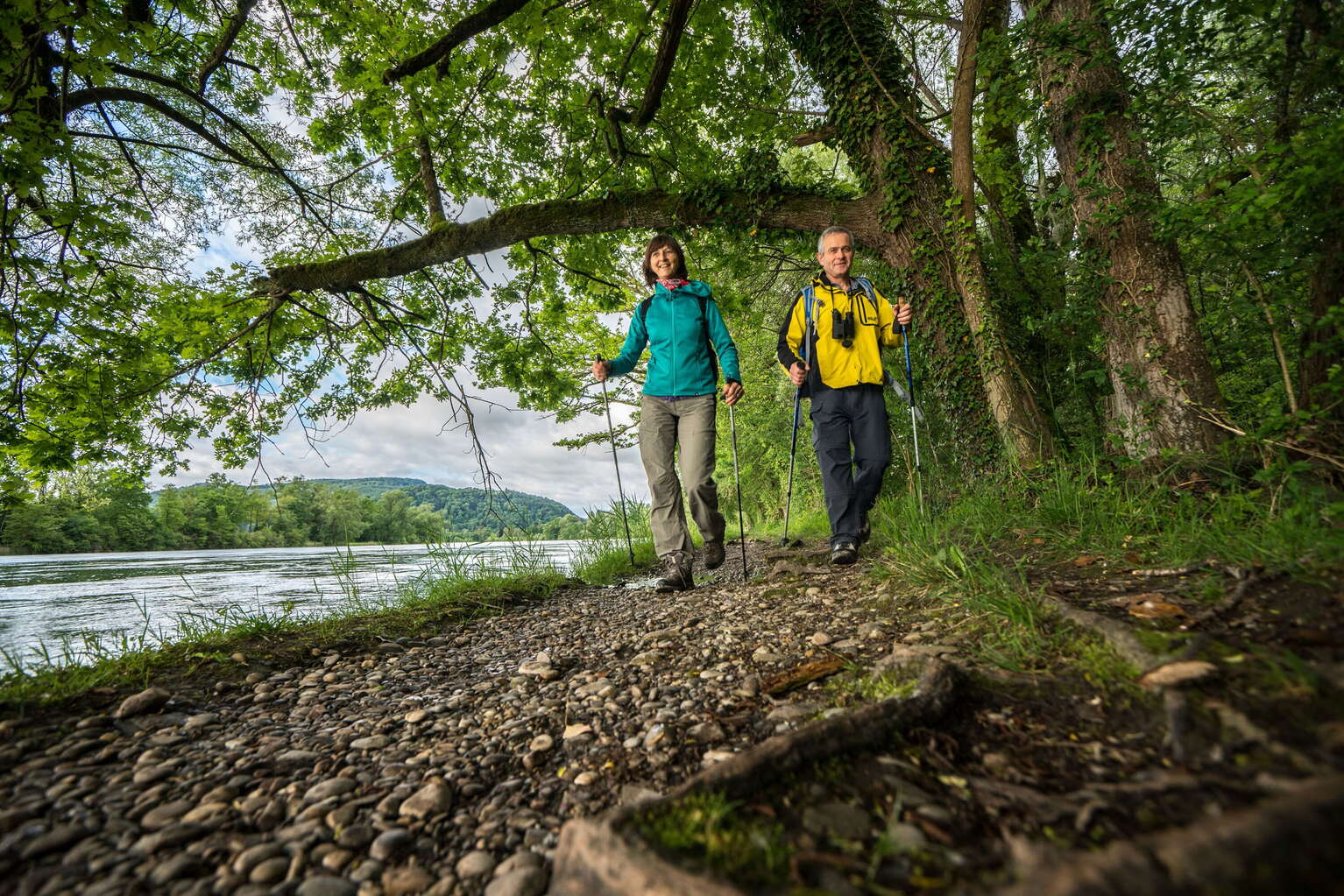 Rhein Reben Route Schaffhauserland Tourismus