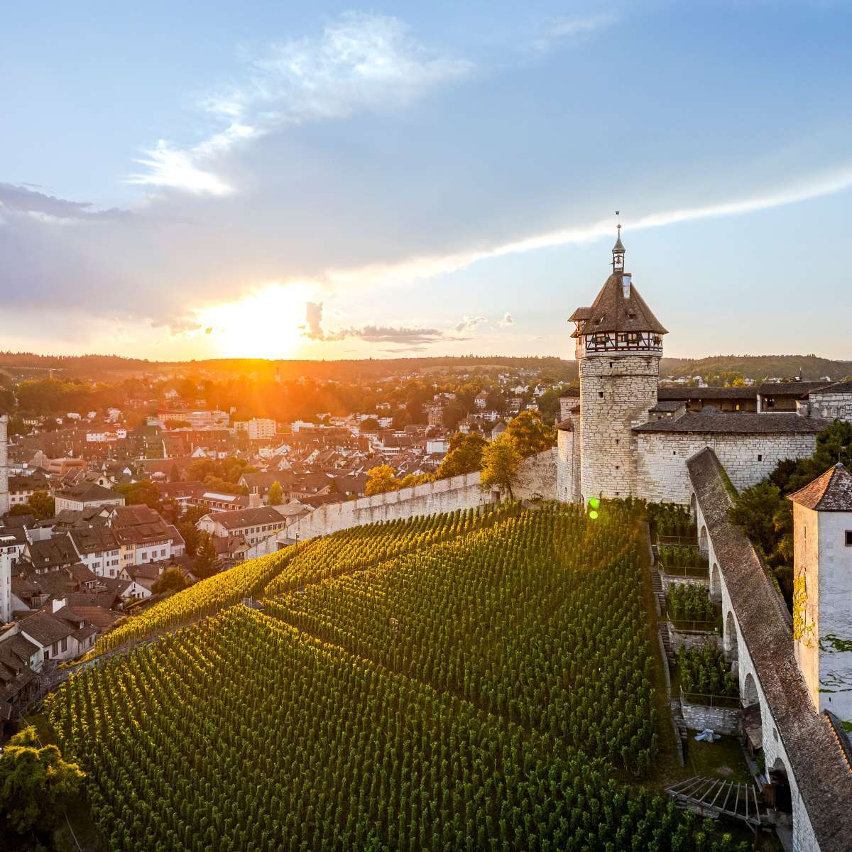 Waldwirtschaft Schlossranden