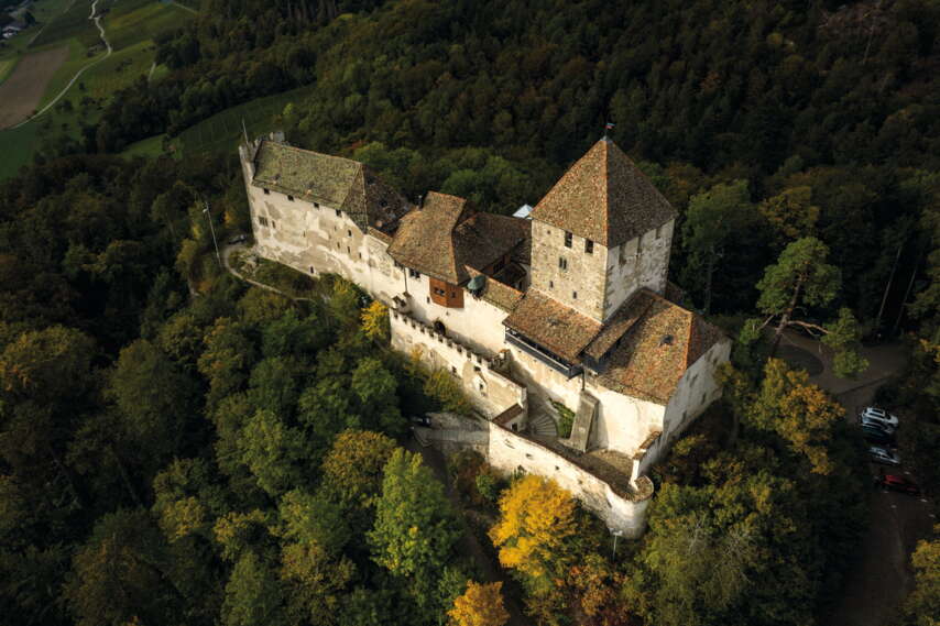 Bild von oben auf die Burg Hohenklingen in Stein am Rhein. Die Burg ist von Wald umgeben.
