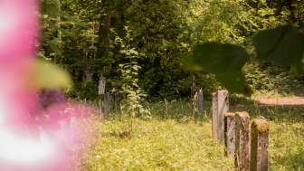 Waldfriedhof Schaffhausen