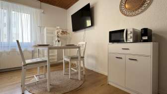 Studio Rheinfall & Bahnhof zu Fuss