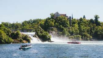 Der Rheinfall ganz klassisch