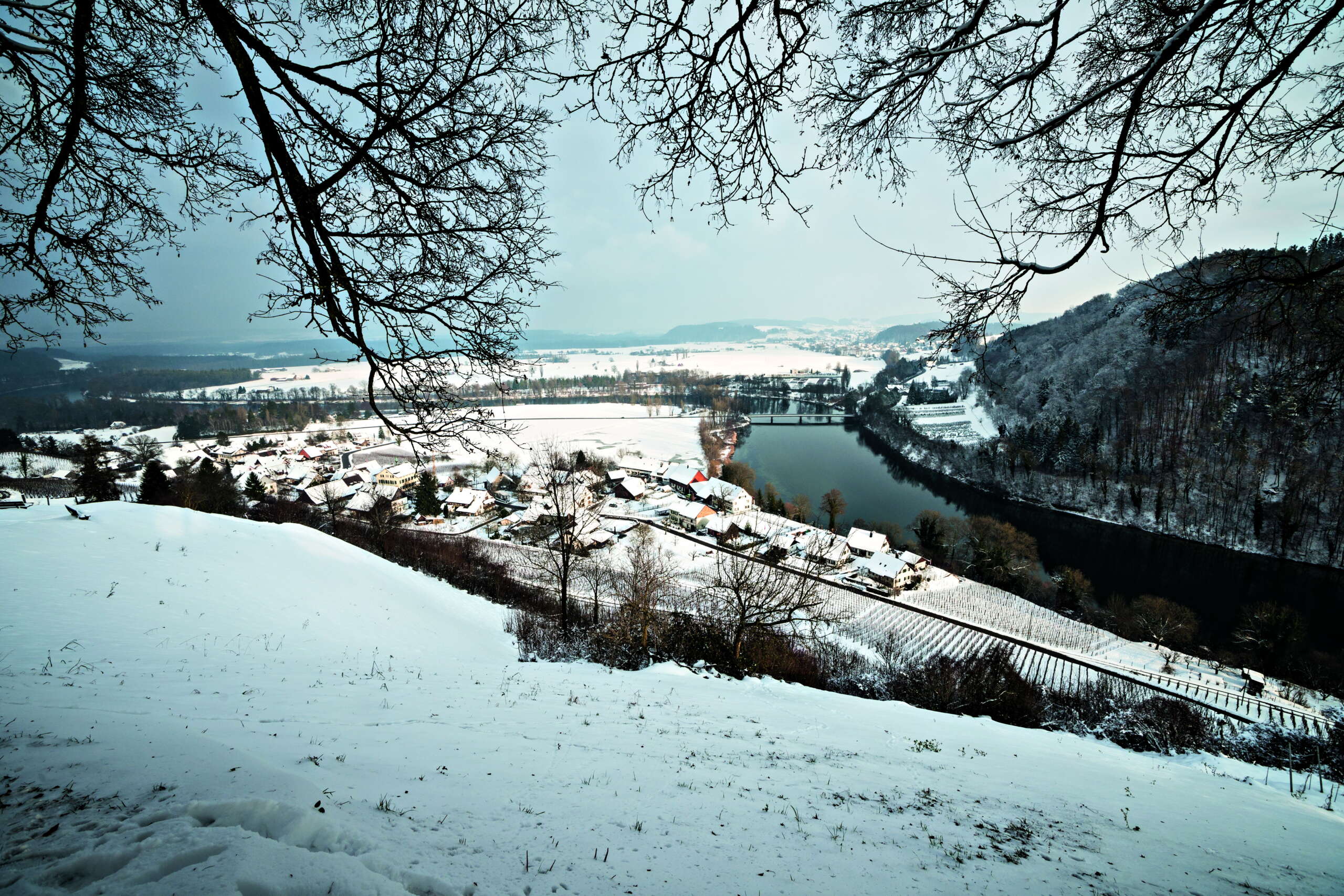 Man blickt auf das winterliche Rüdlingen am Ufer des Rheins.