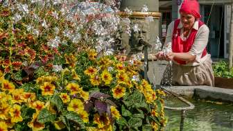 Führung «Auf den Spuren des Brunnenkönigs»