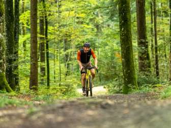 Ein Mann mit einem gelben Gravelbike fährt auf einem Naturweg durch den Wald.