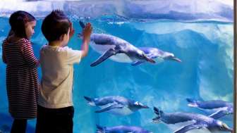 SEA Life Konstanz SEA Life Konstanz