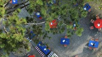 Carcajou - Rheintalgarten