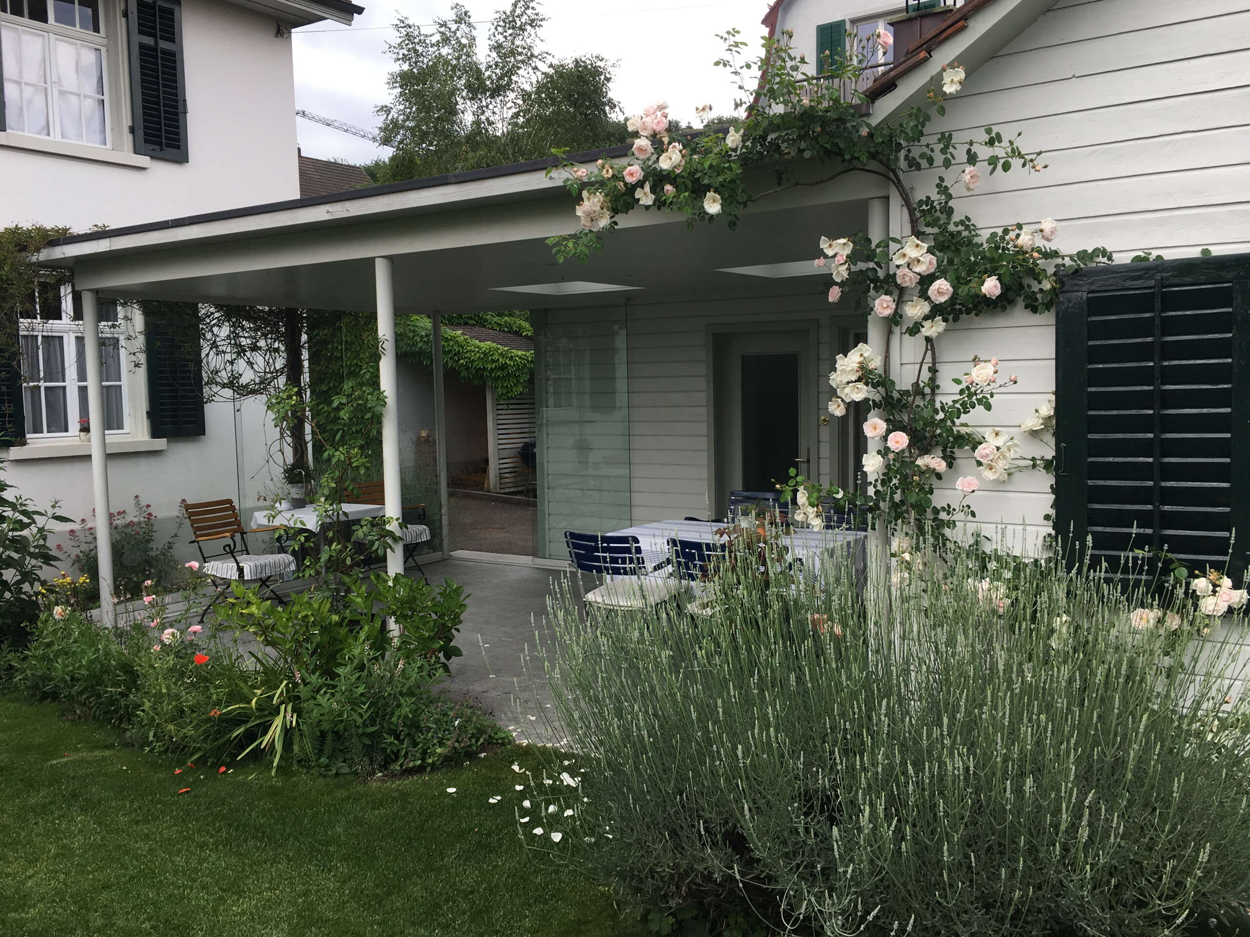 Garten mit Terrasse der Ferienwohnung Kohler. Grüner Garten und weisse Rosen an der Hauswand