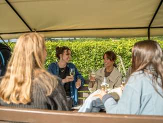 Herbst, Kutsche, Kutschenfahrt, Pferd, Pferde, Pferdefuhrwerk, Pferdekutsche, Pferdewagenfahrt, September, Spaetsommer