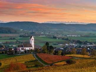Blick auf goldige Reben und die Bergkirche St. Moritz in Hallau. Der Himmel ist in rot und orange gefärbt.