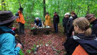 Naturpark-Exkursionen