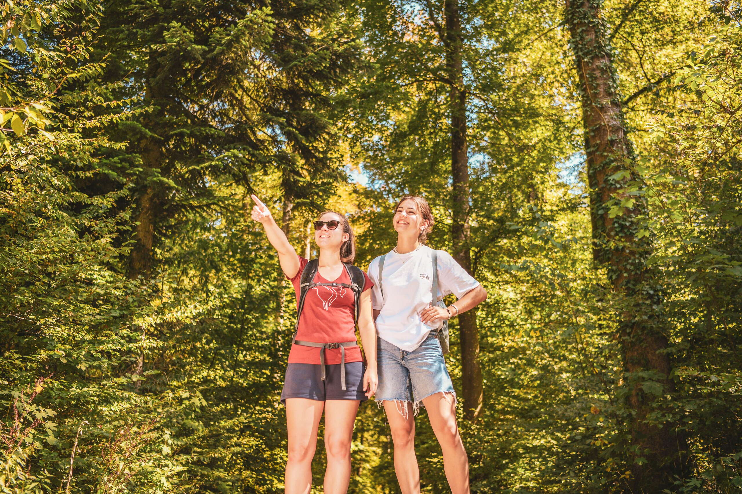 Zwei Wanderinnen stehen im Wald und eine zeigt auf etwas.