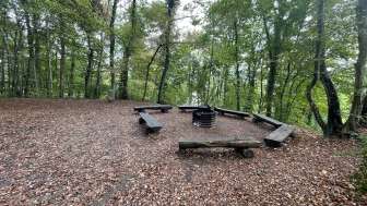 Grillplatz Ruine Neuburg