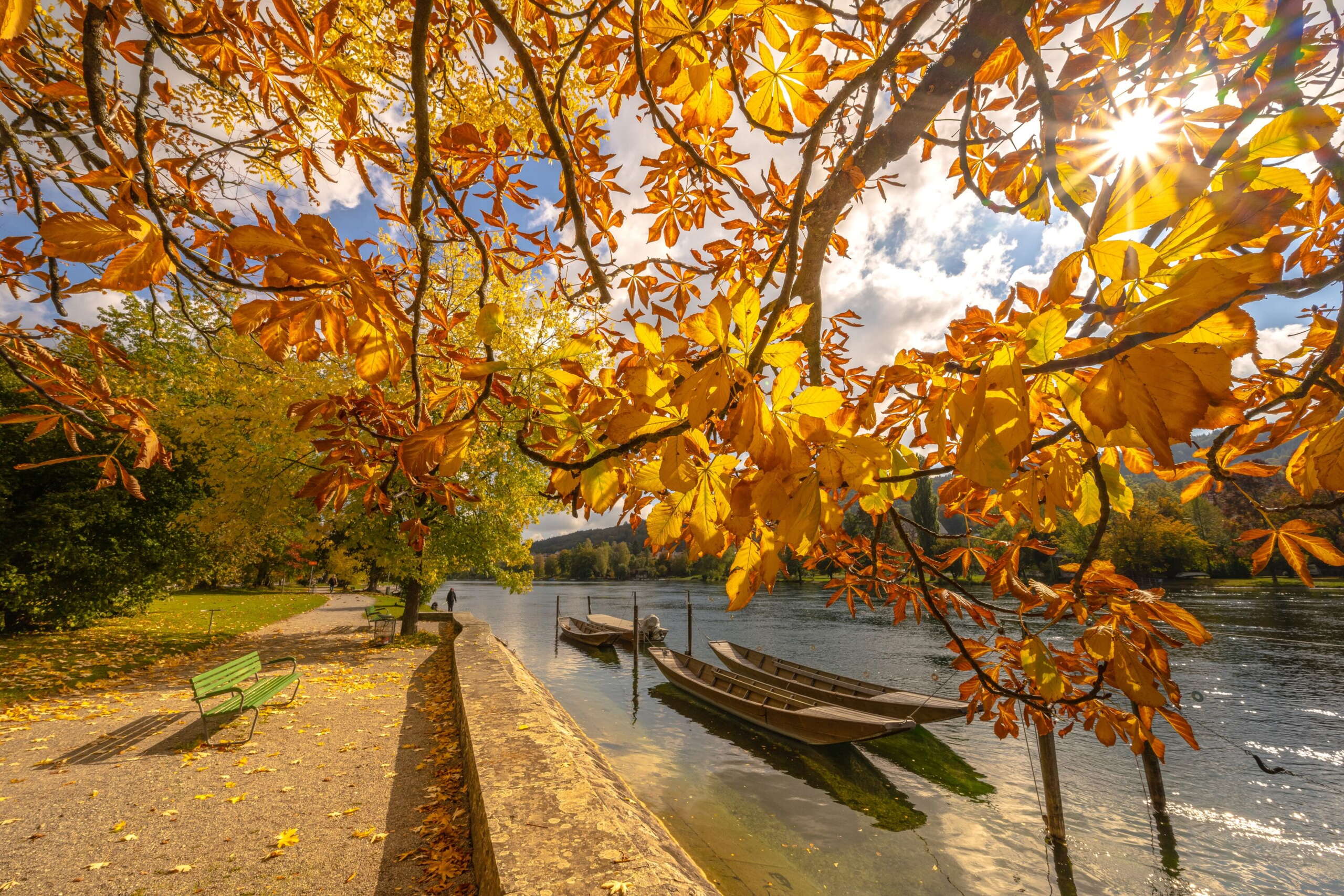 Uferpromenade Lindli mit gelben Herbstblätter und Rhein mit Weidlingen