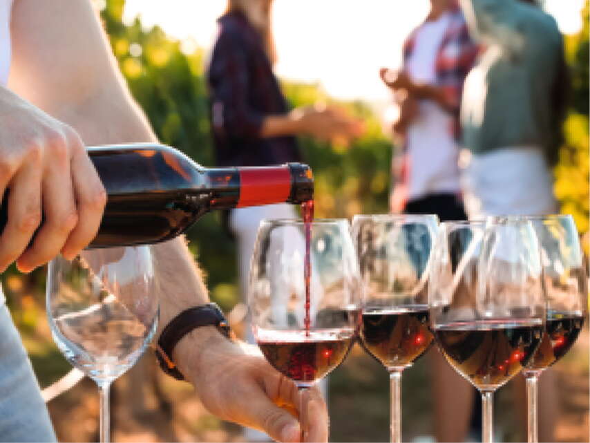Gruppe Menschen. Eine Person füllt Rotwein in die Weingläser. Im Hintergrund sind Reben zu sehen.