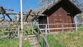 Räbhüüsli Picknick