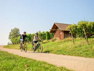 Eine Person fährt mit dem Gravelbike und eine mit einem E-Bike auf einer Strasse durch die Rebberge.