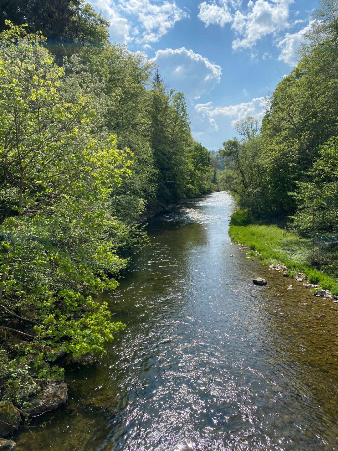 Wutach bei Schleitheim mit Natur rundherum