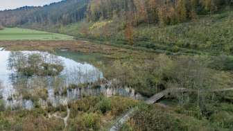 Biotop «Wangental Natur Pur»