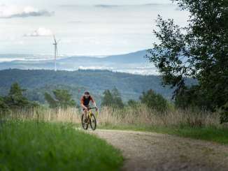 Eine Person fährt mit einem gelben Gravelbike auf einen Naturweg in den Wald. Im Hintergrund bewaldete Hügel.