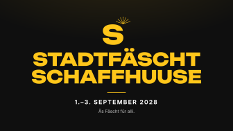 Stadtfaescht bild