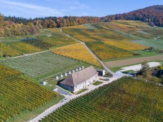 Mitten in den herbstlichen Reben steht eine Trotte, ein längliches Steingebäude.
