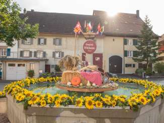Dekorierter Brunnen mit Sonnenblumen aufgrund des Hallaugias in Hallau