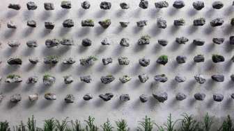 Jamie North «Stone Field 2022»