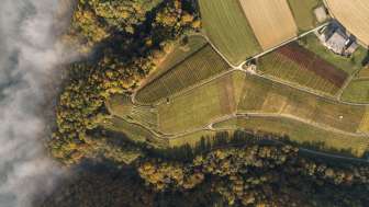 Kümin Weinbau - Weinkultur seit 1902