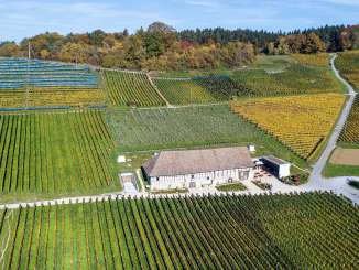 Eine alte Trotte inmitten der Reblandschaft im Herbst.