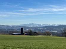 Im Vordergrund eine Wiese mit Blick auf die Stegackerfarm in Uesslingen. In der Weite sind die Alpen erkennbar.