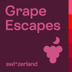 Auf einer violetten, quadratischen Box steht der Text in pink "Grape Escapes".