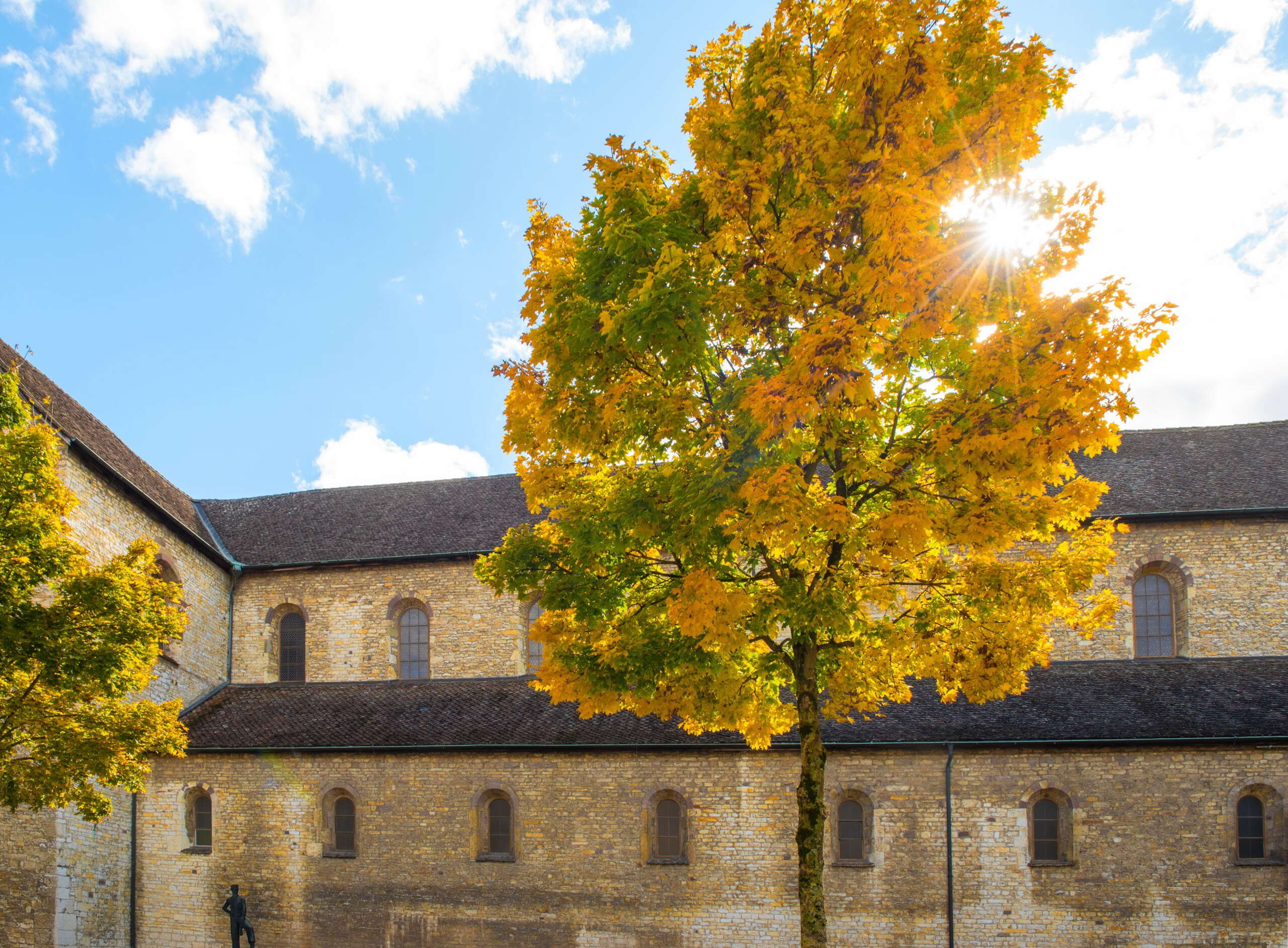 Kloster und Münster zu Allerheiligen Schaffhausen. Vor dem Kloster steht ein Baum mit gelben herbstlichen Blättern.