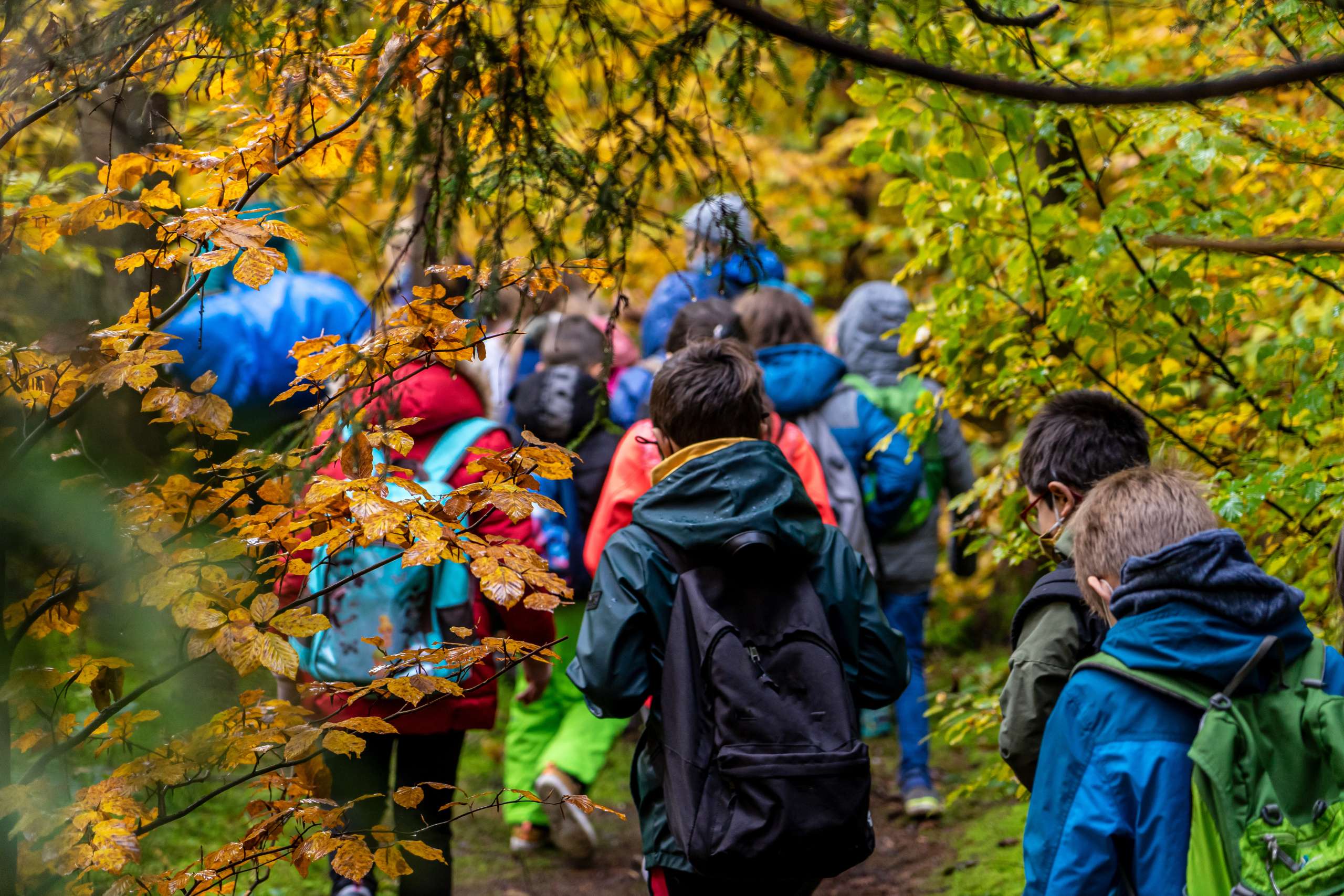 Eine Schulklasse mit Regenjacken und Rucksäcken wandert gemeinsam durch einen grünen Wald.
