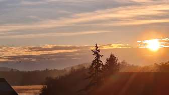 Ferienwohnung Rheinblick