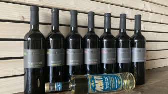 vinoTon Weine - Heusi Rebbau