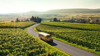 Nostalgie und Weingenuss