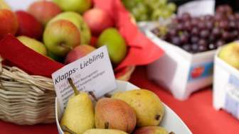 Hedinger's Öpfelparadies