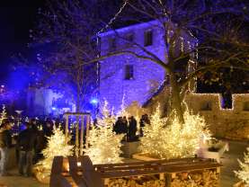 Ein Schloss sowie Tannenbäume welche mit Lichtern beleuchtet sind.