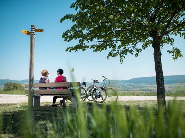 Draussen in der Natur