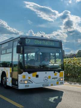 Ein Bus fahrt auf der Strasse vor einem Sonnenblumenfeld. Im Hintergrund sieht man eine Kirche auf einem kleinen Hügel.