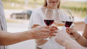Weindegustation mit Rebführung Stein am Rhein