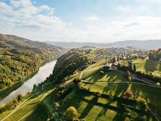 Blick von oben auf den Rhein umgeben von Wälder auf der einen Seite und Reben mit der Kirche Buchberg-Rüdlingen auf der anderen.