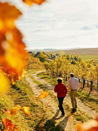 Zwei Personen wandern durch die herbstlichen Reben.