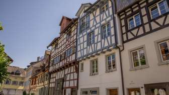 Fronhof