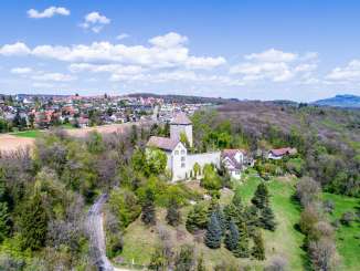 Blick von oben auf das Schloss Herblingen und das Dorf Stetten dahinter. Das Schloss ist umgeben von Wald.