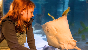 SEA Life Konstanz