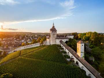 Munot Schaffhausen Blick auf die Festung Munot. Eine Rundfestung mit Turm. Der Hang vor der Festung ist bedeckt mit Reben.