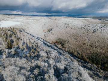 Eine Wald-Landschaft welche mit Schnee gezuckert ist.